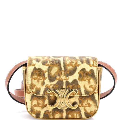CELINE Claude Shoulder Bag Printed Triomphe Coated Canvas Mini