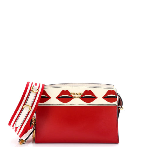PRADA Esplanade Crossbody Bag Printed Saffiano and City Calf Small