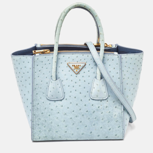 Light Blue Ostrich Leather Struzzo Twin Pocket Tote