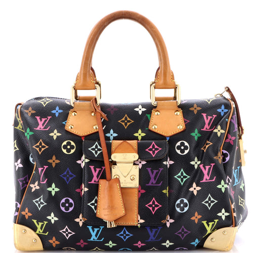Speedy Handbag Monogram Multicolor 30