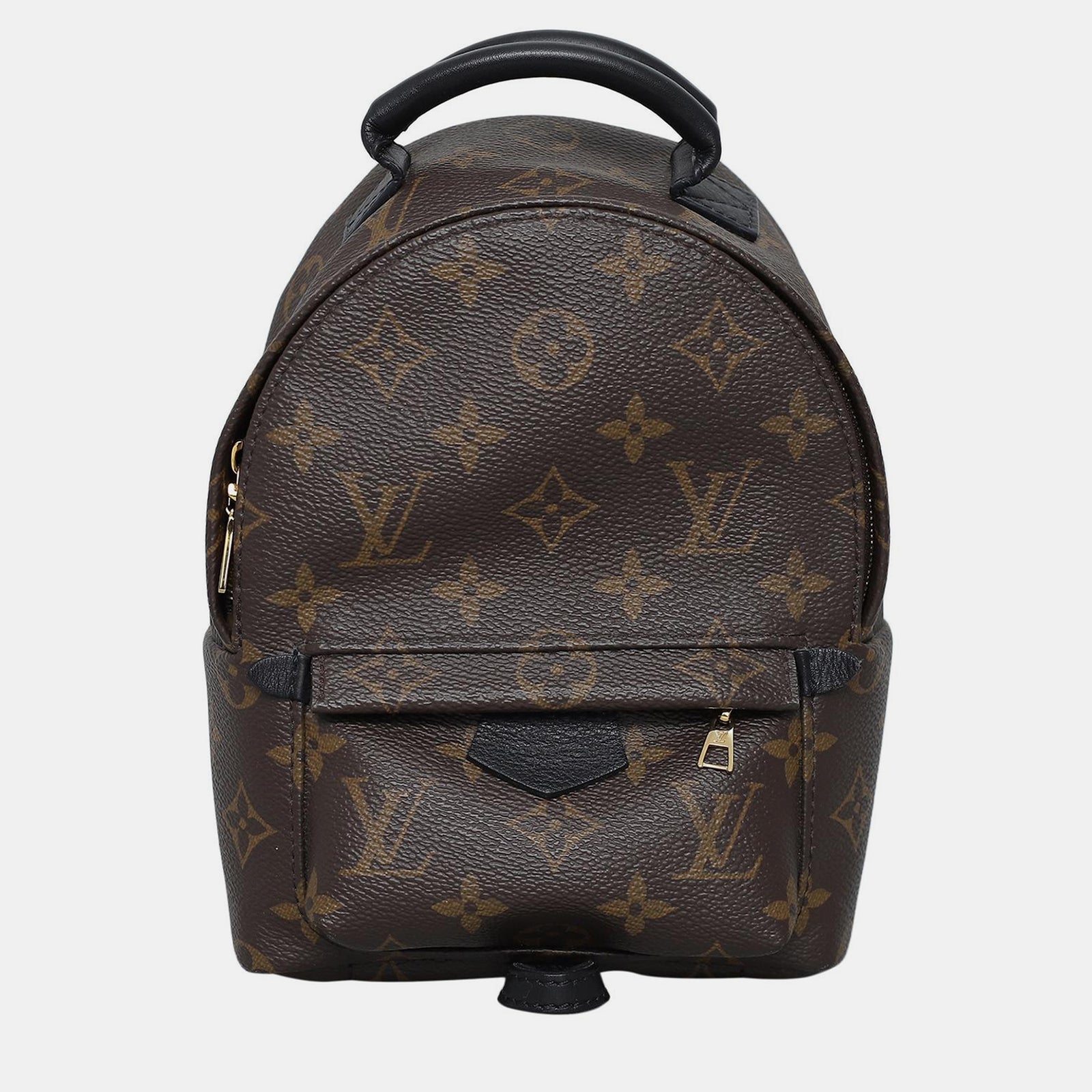 Louis Vuitton Dunkelbrauner Mini-Rucksack „Palm Springs“ mit Monogramm