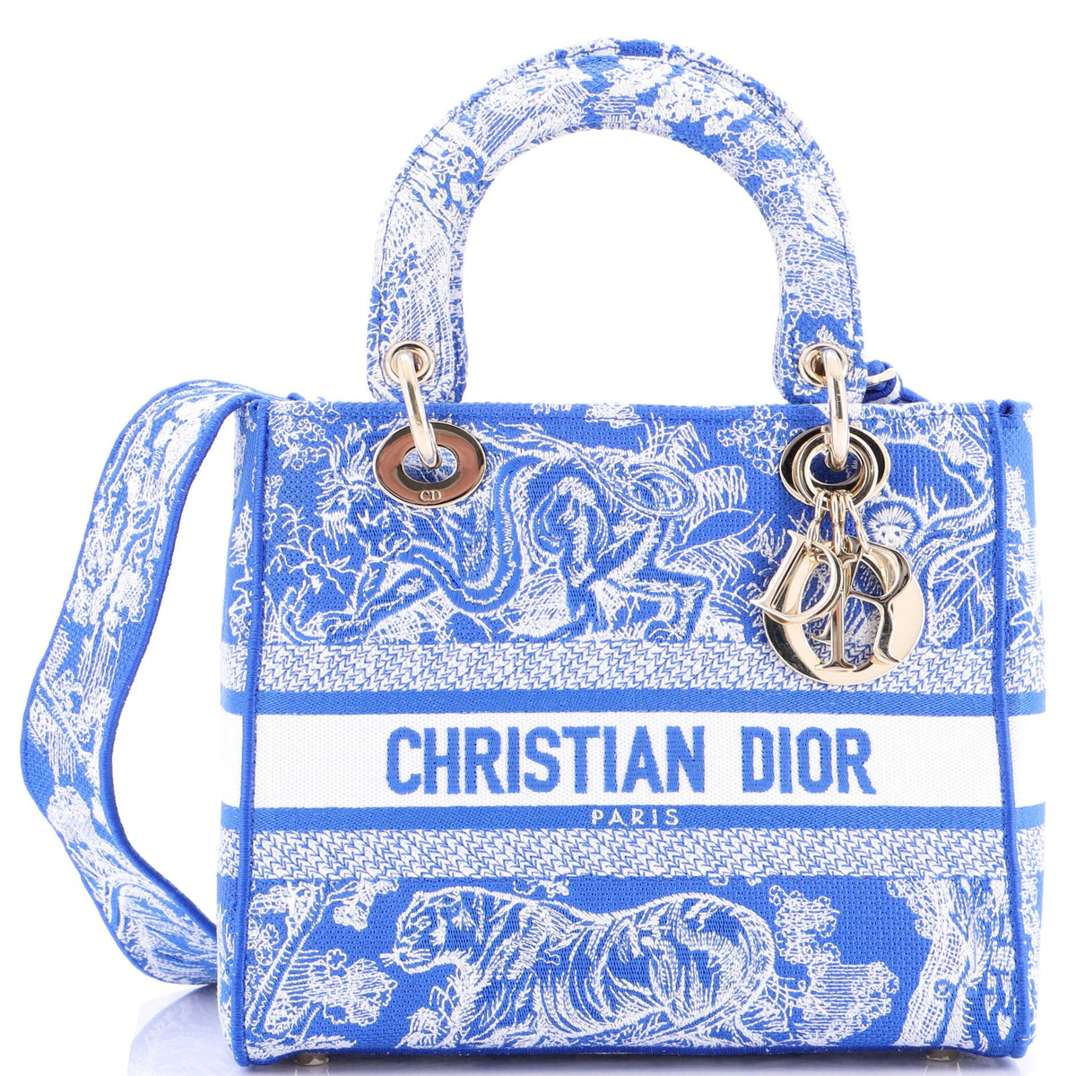 Christian Dior Toile de Jouy Lady D-Lite Bag Embroidered Canvas