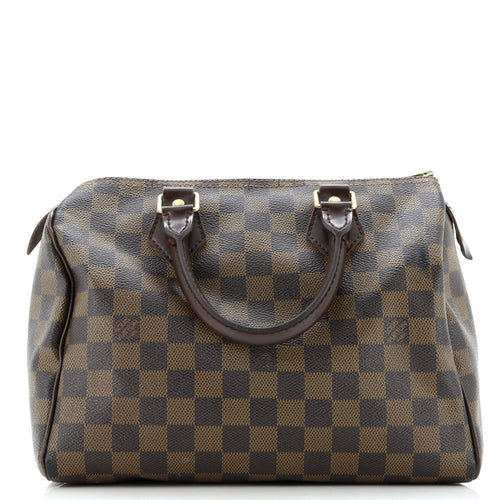 Speedy Handbag Damier 25