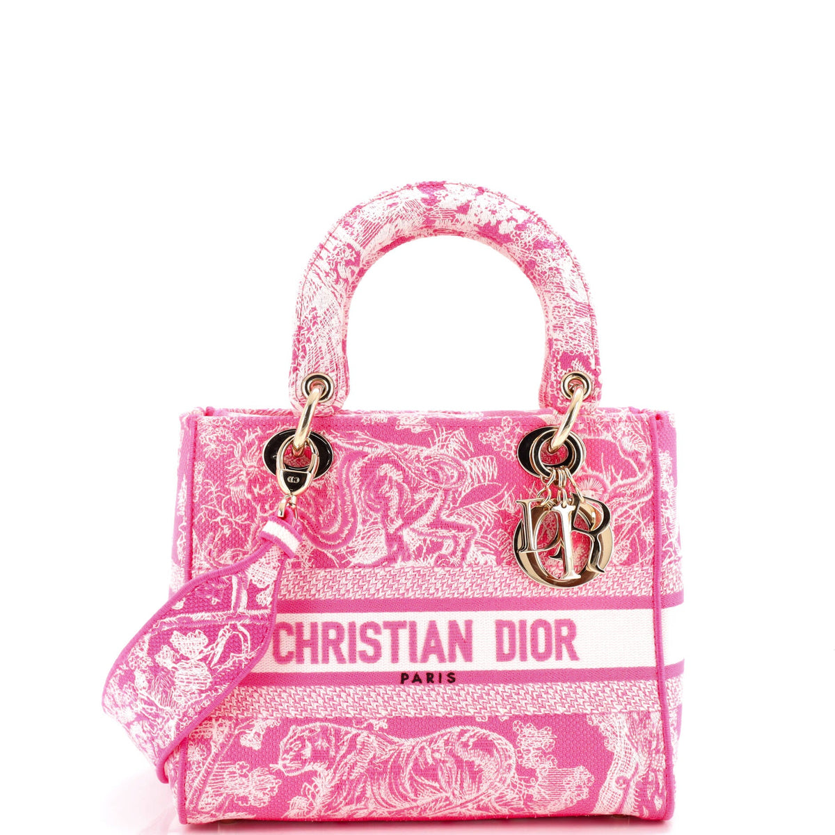 Christian Dior Lady D-Lite Bag Embroidered Canvas Medium