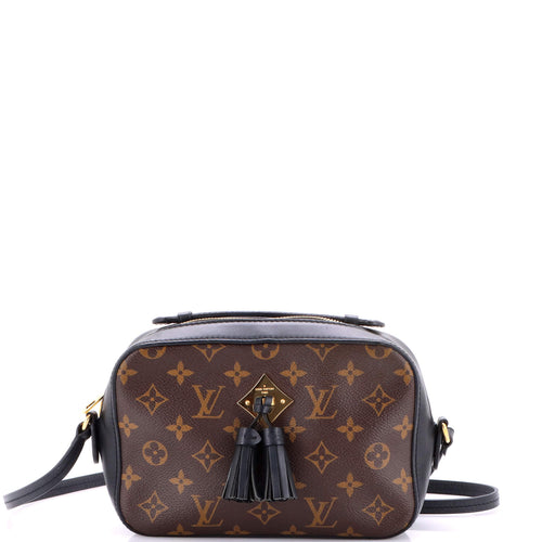 Saintonge Handbag Monogram Canvas with Leather