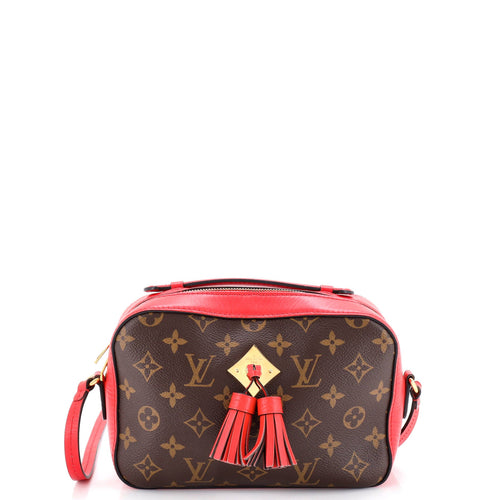 Saintonge Handbag Monogram Canvas with Leather