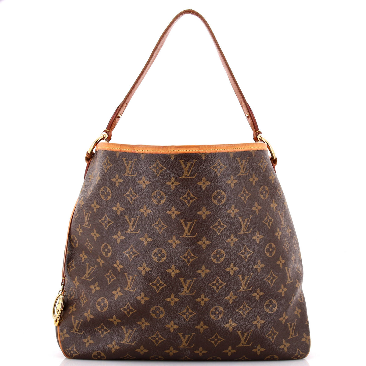Louis Vuitton Delightful NM Handbag Monogram Canvas MM