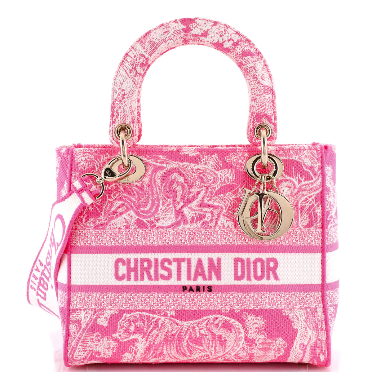 Christian Dior Toile de Jouy Lady D-Lite Bag Embroidered Canvas