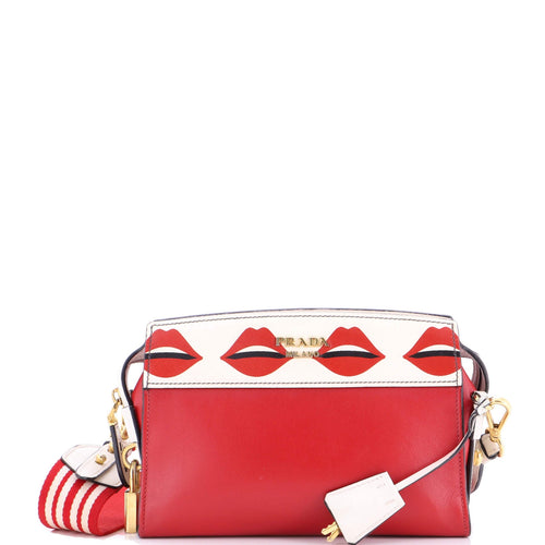 PRADA Esplanade Crossbody Bag Printed Saffiano and City Calf Small