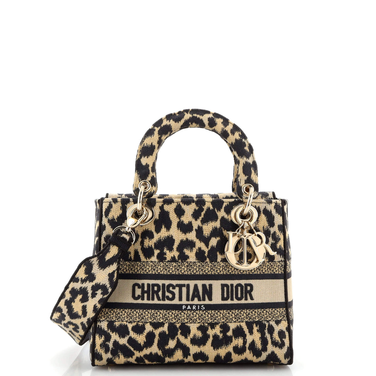 Christian Dior Lady D-Lite Bag Mizza Embroidered Canvas Medium