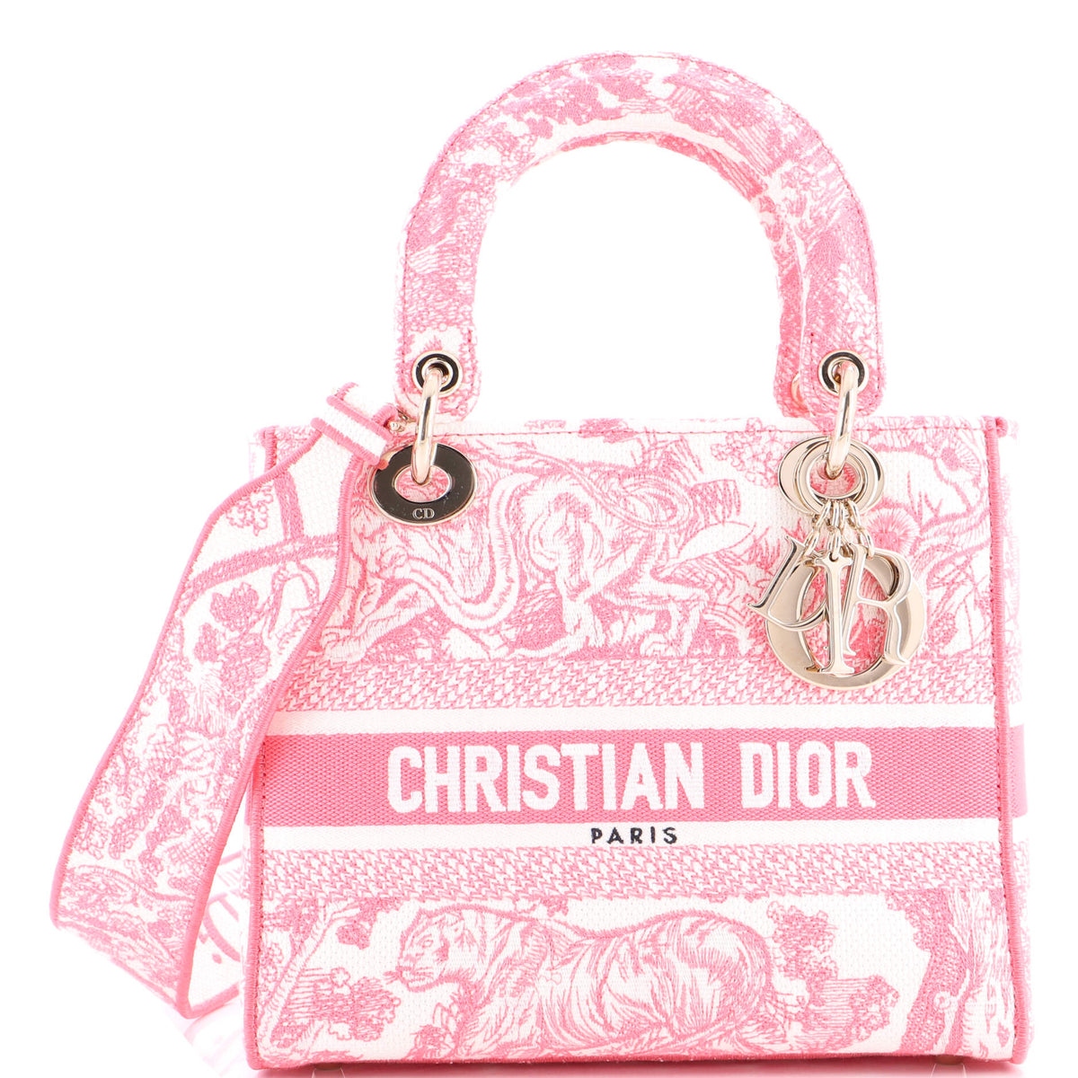 Christian Dior Toile de Jouy Lady D-Lite Bag Embroidered Canvas