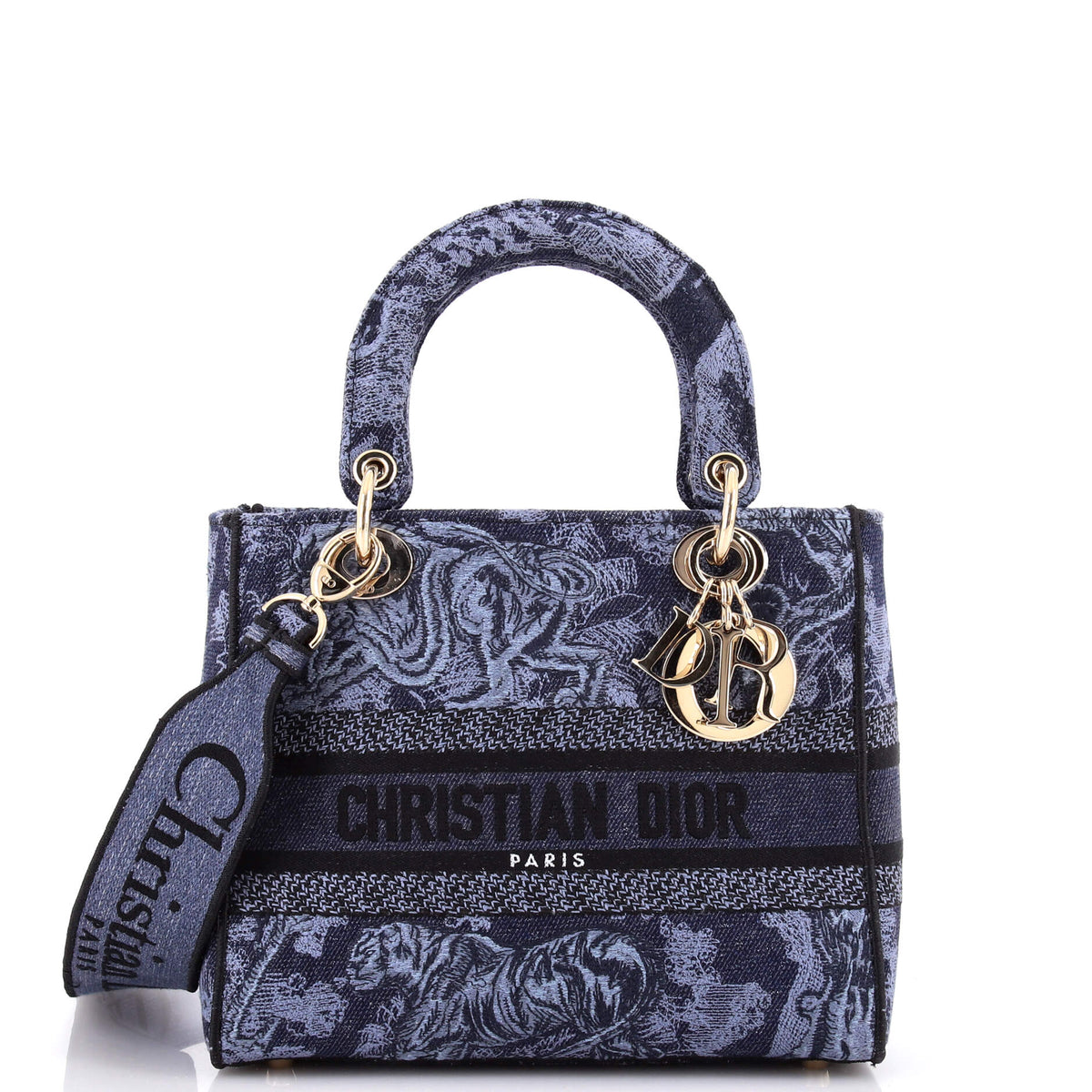 Christian Dior Lady D-Lite Bag Embroidered Canvas Medium