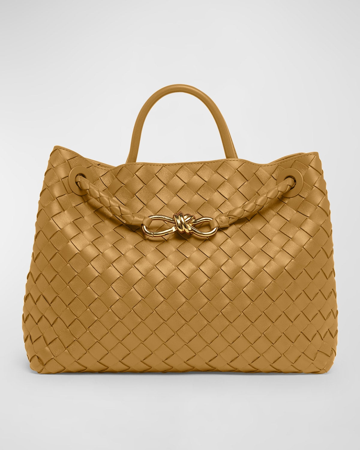 Bottega Veneta Medium Andiamo Bag
