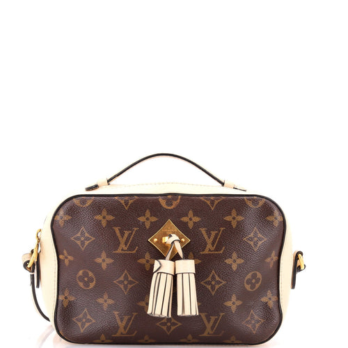 Saintonge Handbag Monogram Canvas with Leather
