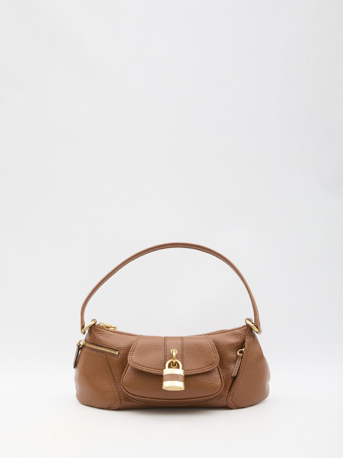 Chloé Women's The 99 Shoulder Bag in Brown | CHC24AS710N84