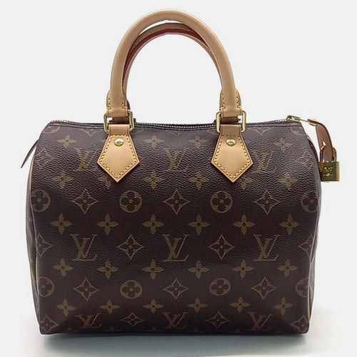 Monogram Speedy 25 bag