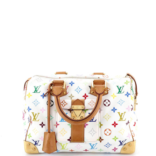 Speedy Handbag Monogram Multicolor 30