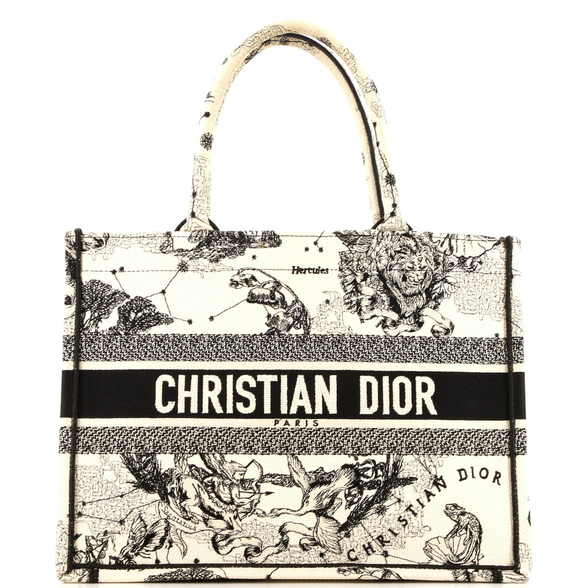 Christian Dior Book Tote Embroidered Canvas Medium