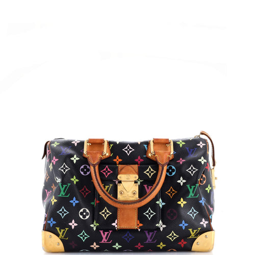 Speedy Handbag Monogram Multicolor 30