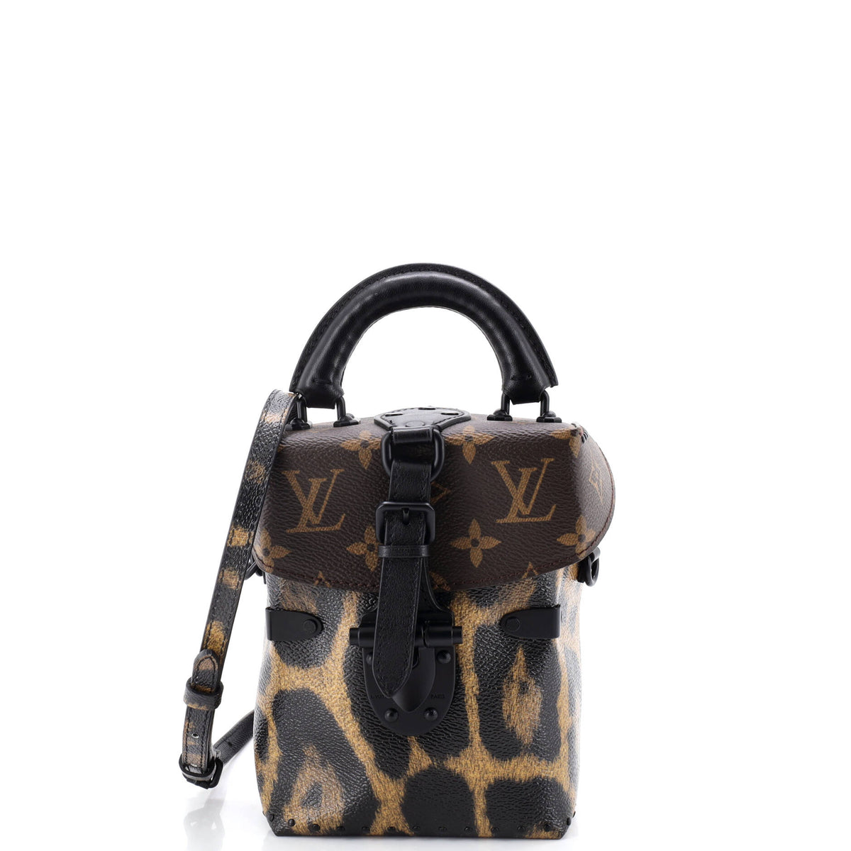 Louis Vuitton Camera Box Handbag Monogram Canvas and Wild Animal Print Canvas