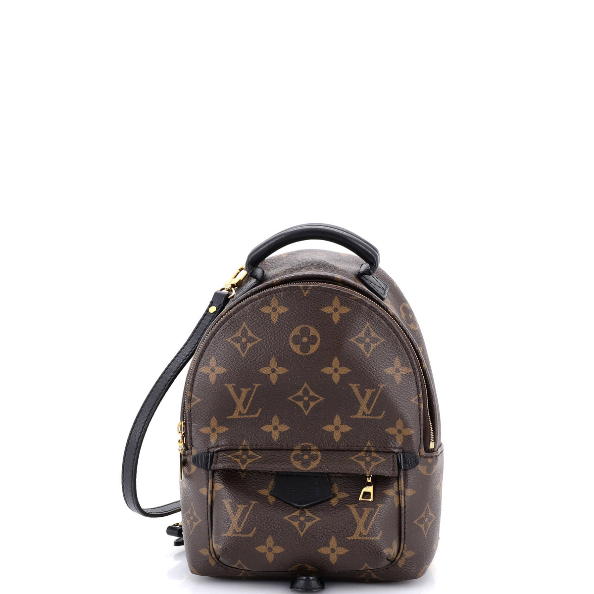 Louis Vuitton Palm Springs Backpack Monogram Canvas Mini