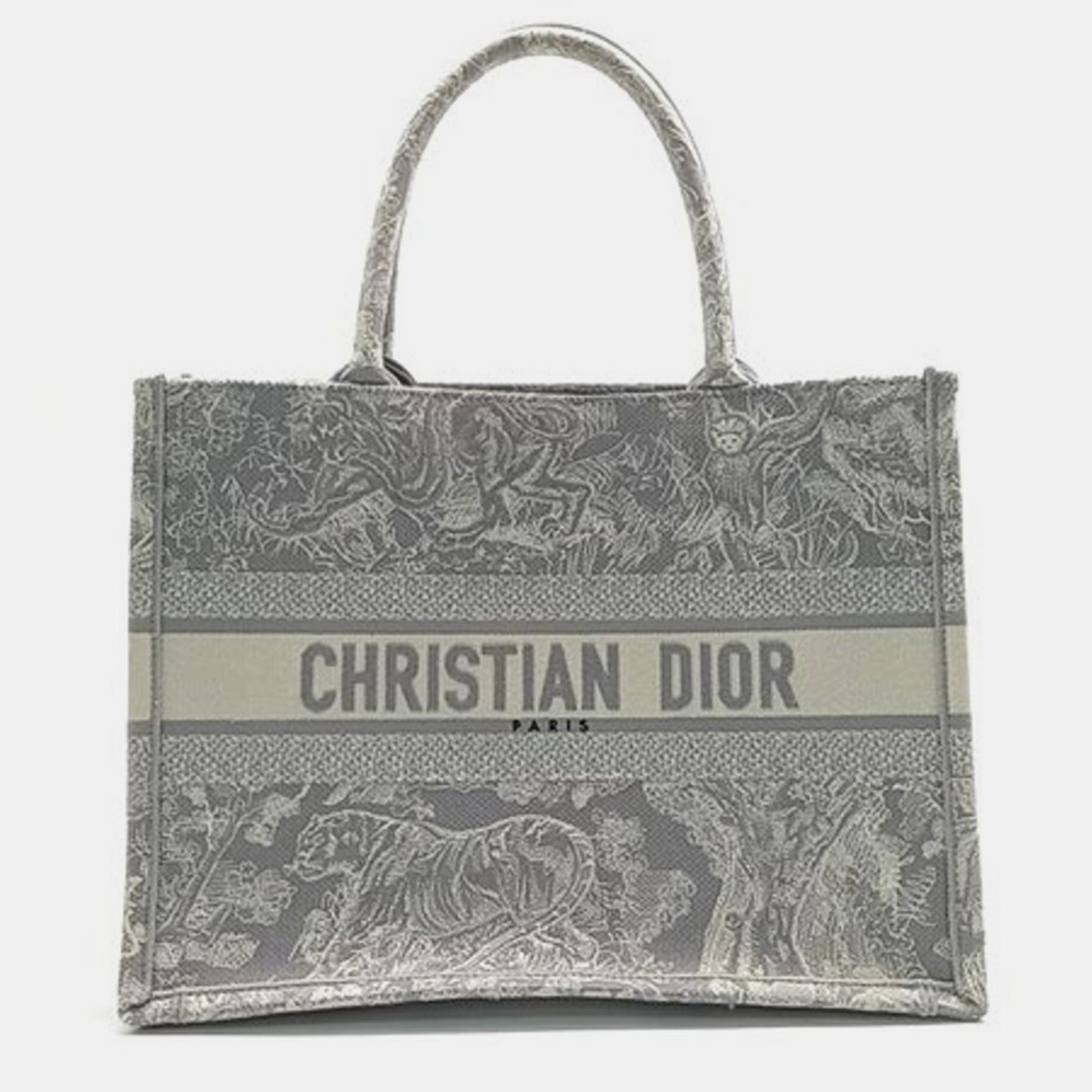 Dior Christliche Buch-Tragetasche 36