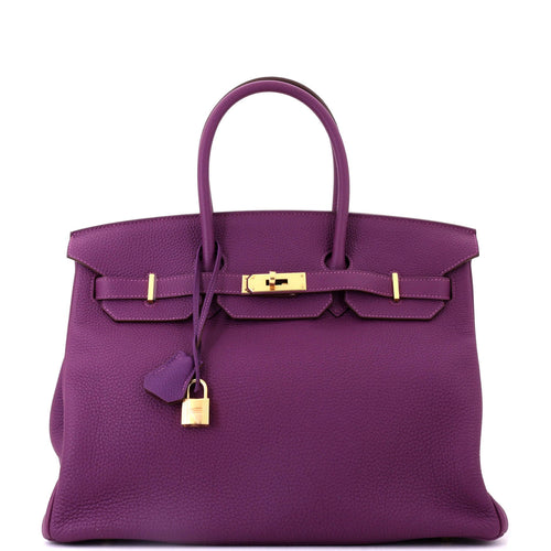Birkin Handbag Anemone Togo with Gold Hardware 35