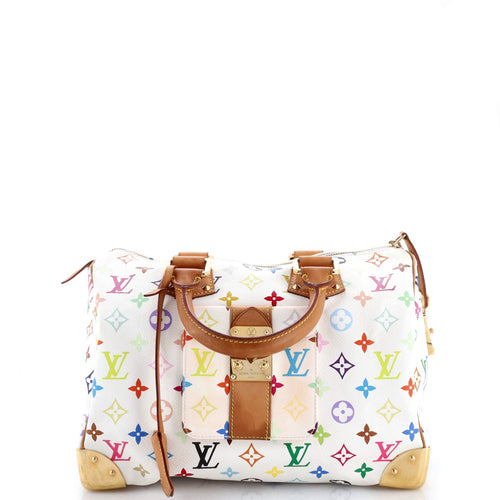 Speedy Handbag Monogram Multicolor 30