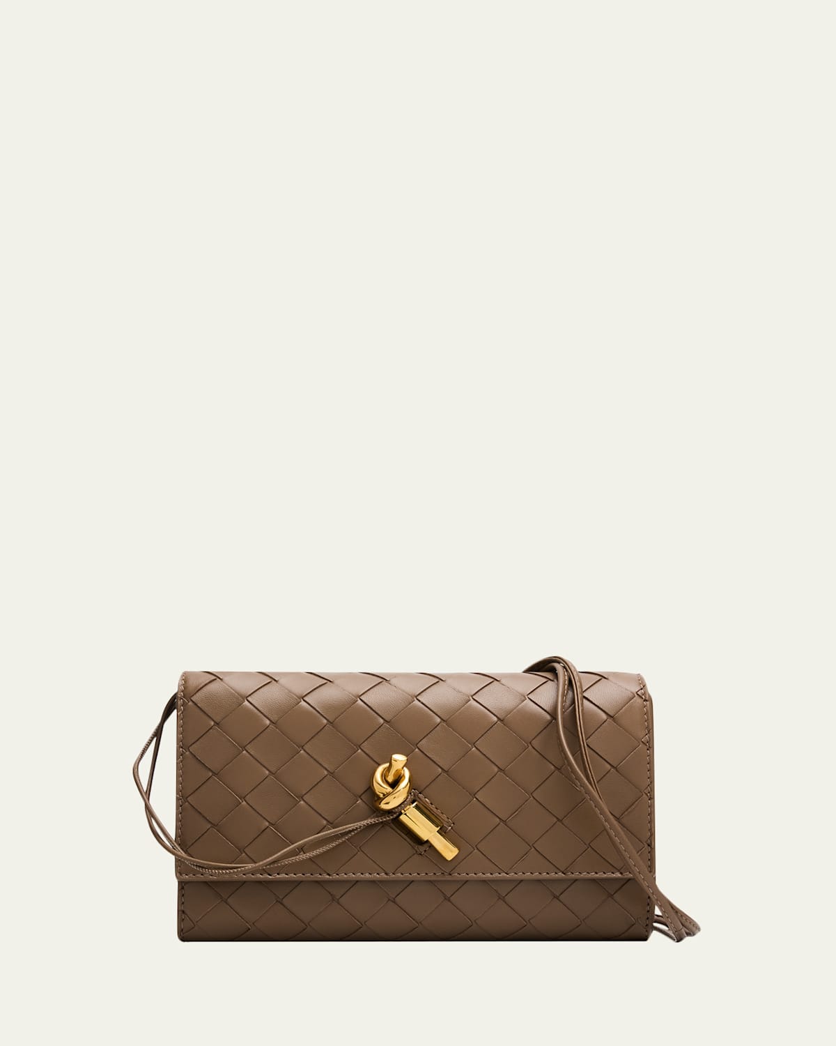 Bottega Veneta Andiamo Leather Pouch Bag