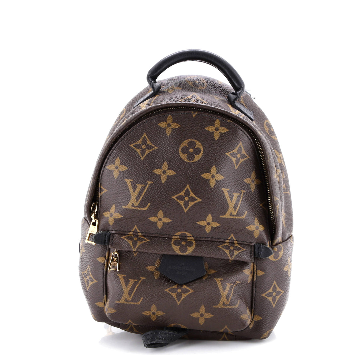 Louis Vuitton Palm Springs Backpack Monogram Canvas Mini