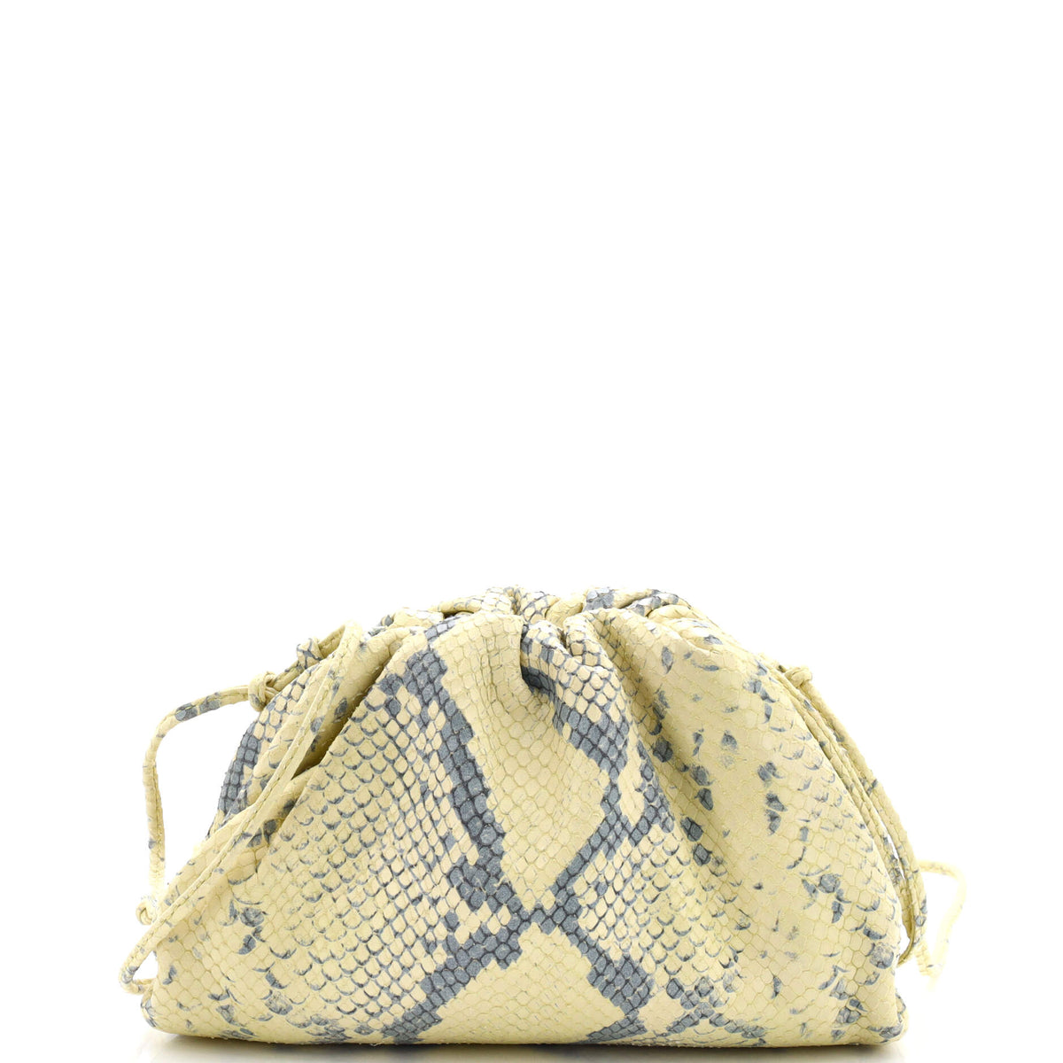 Bottega Veneta The Pouch Python Embossed Leather Mini