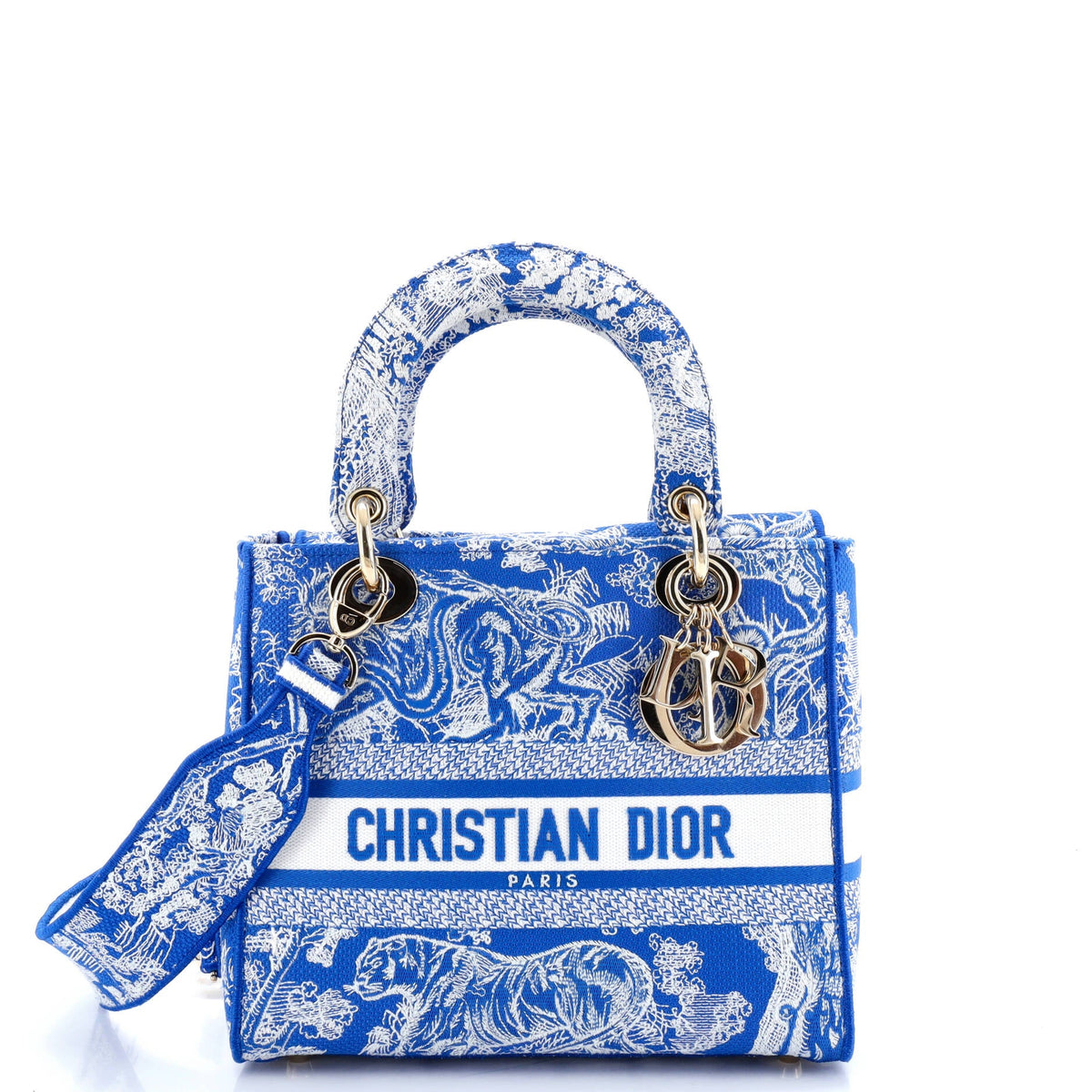 Christian Dior Toile de Jouy Lady D-Lite Bag Embroidered Canvas