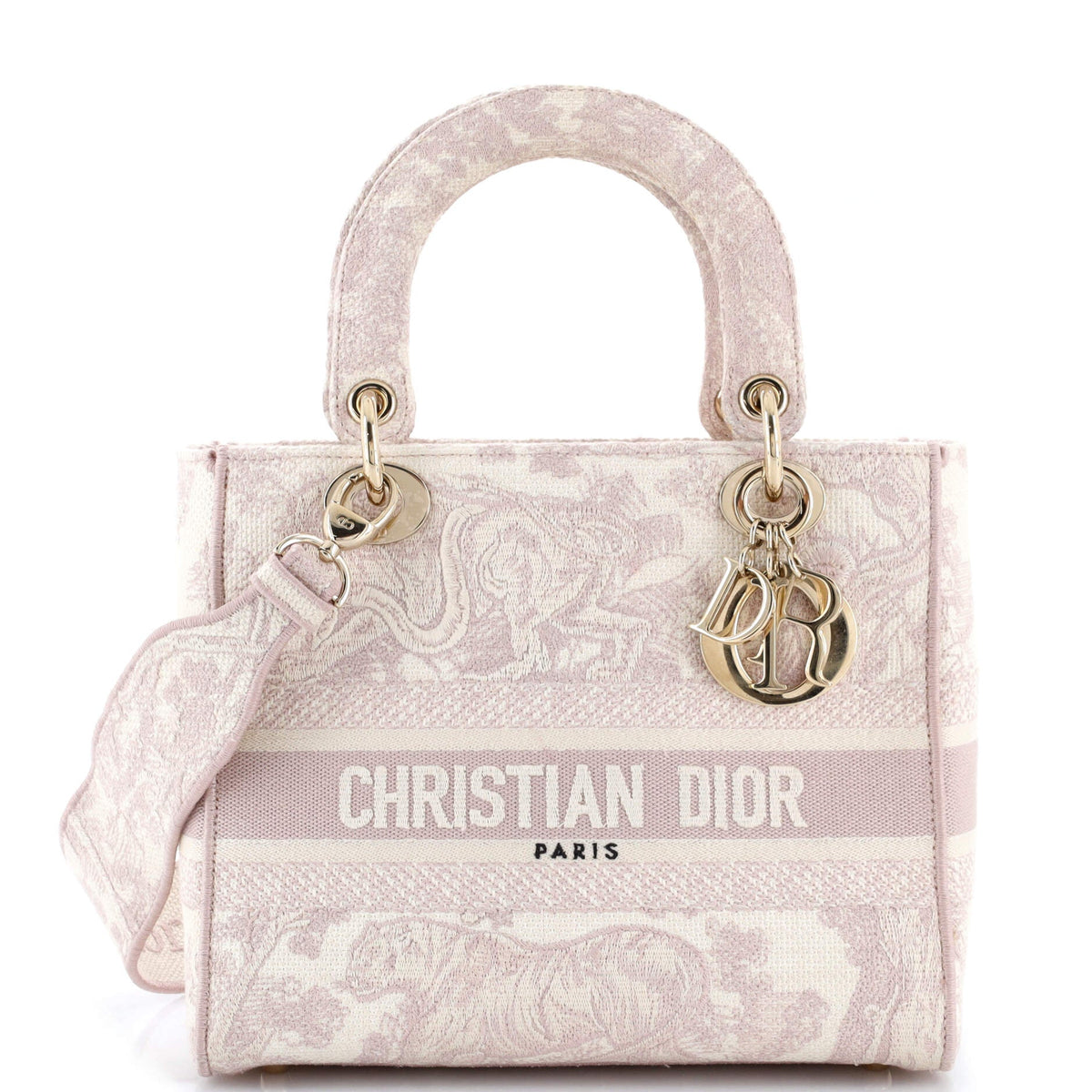Christian Dior Toile de Jouy Lady D-Lite Bag Embroidered Canvas