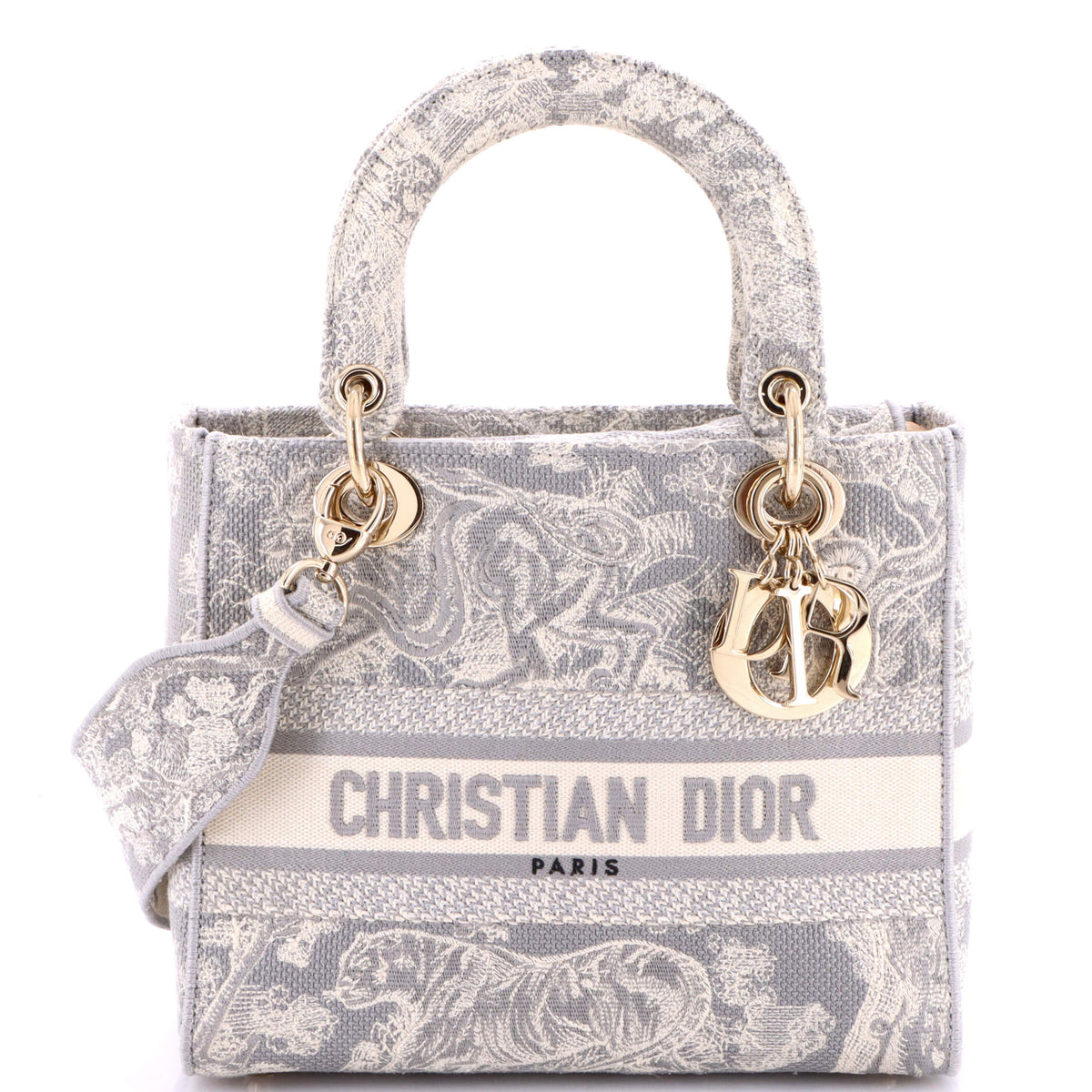 Christian Dior Toile de Jouy Lady D-Lite Bag Embroidered Canvas