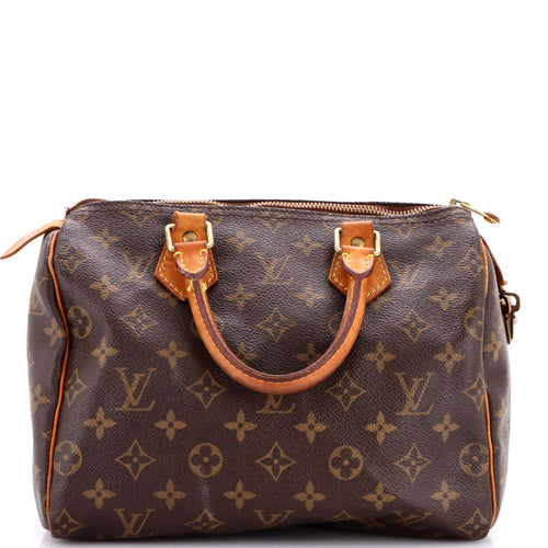 Speedy Handbag Monogram Canvas 25
