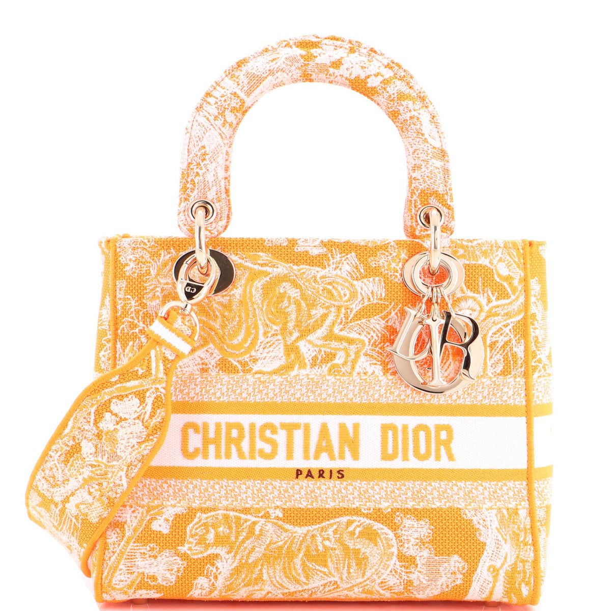 Christian Dior Toile de Jouy Lady D-Lite Bag Embroidered Canvas
