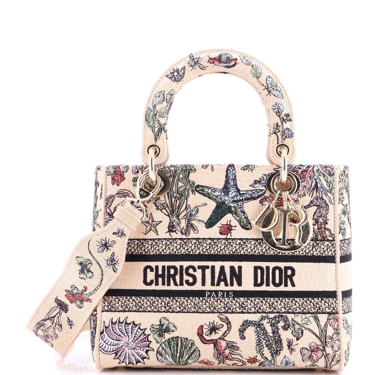 Christian Dior Lady D-Lite Bag Embroidered Raffia Medium