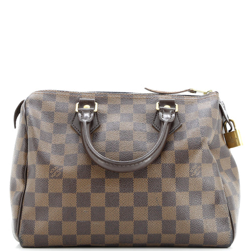 Speedy Handbag Damier 25