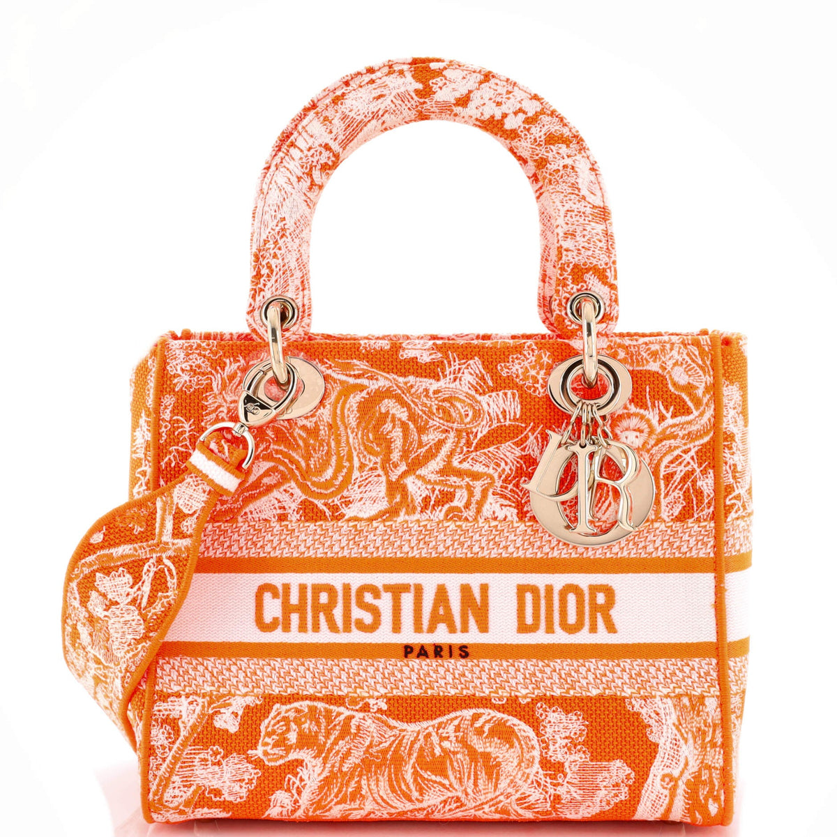 Christian Dior Toile de Jouy Lady D-Lite Bag Embroidered Canvas