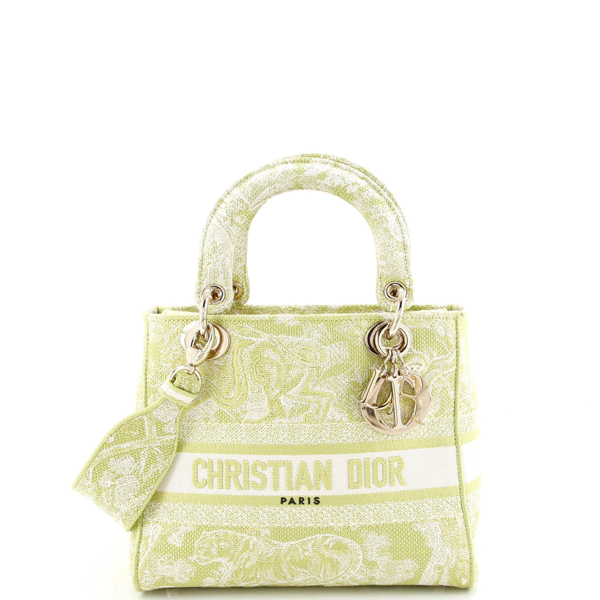 Christian Dior Toile de Jouy Lady D-Lite Bag Embroidered Canvas