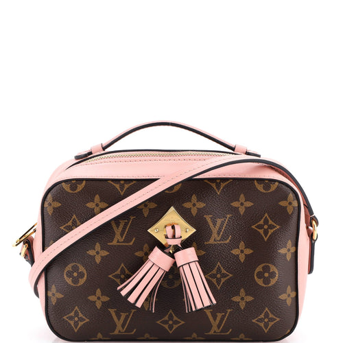 Saintonge Handbag Monogram Canvas with Leather