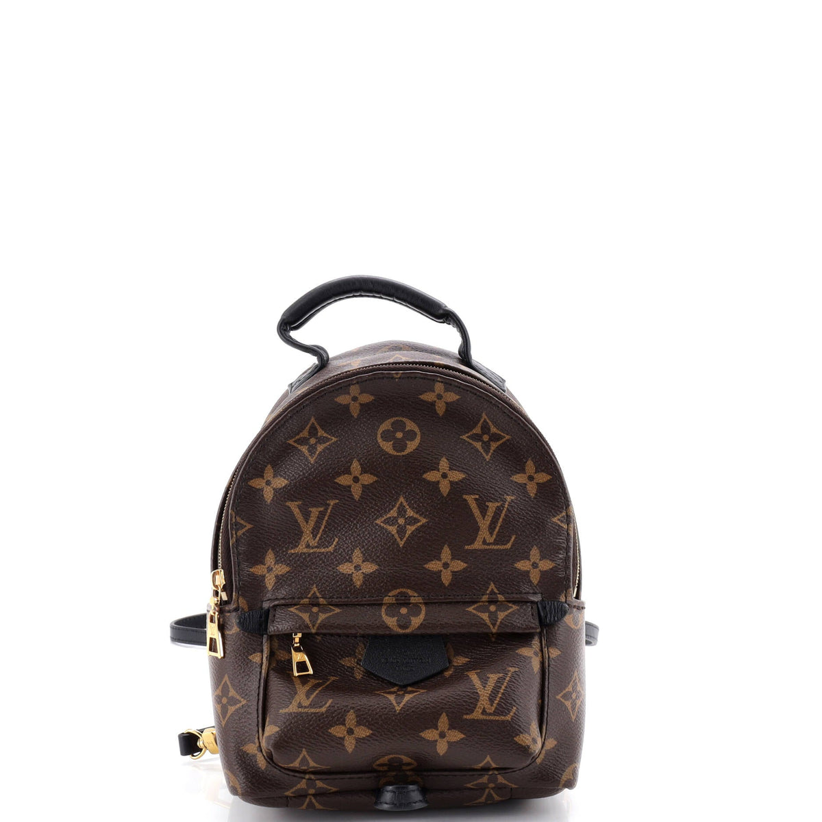 Louis Vuitton Palm Springs Backpack Monogram Canvas Mini