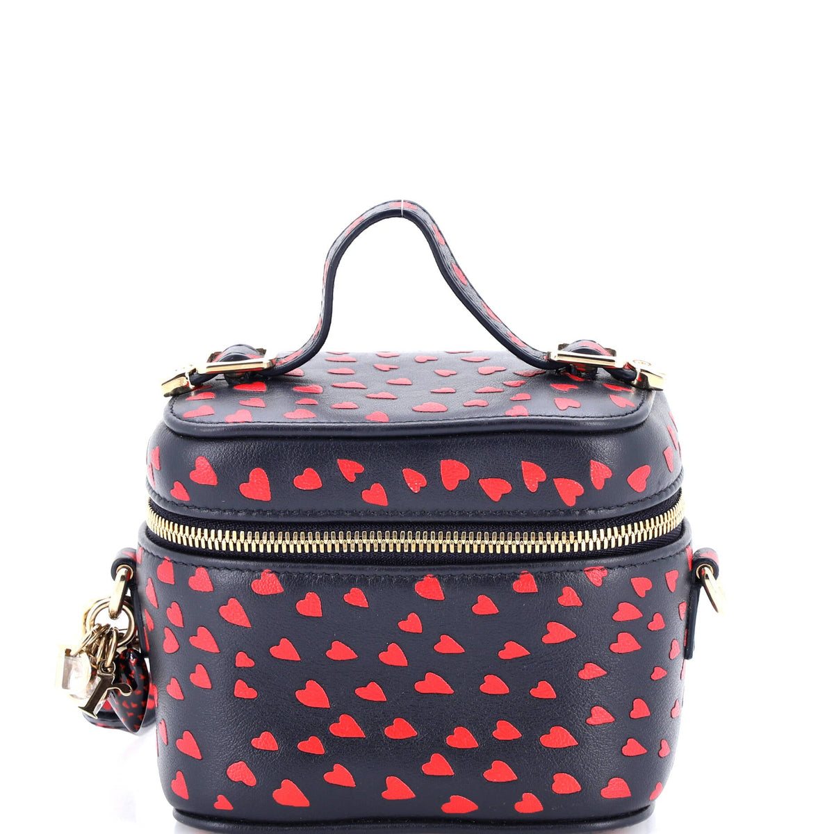 Christian Dior Lady Dior Vanity Case Printed Leather Micro