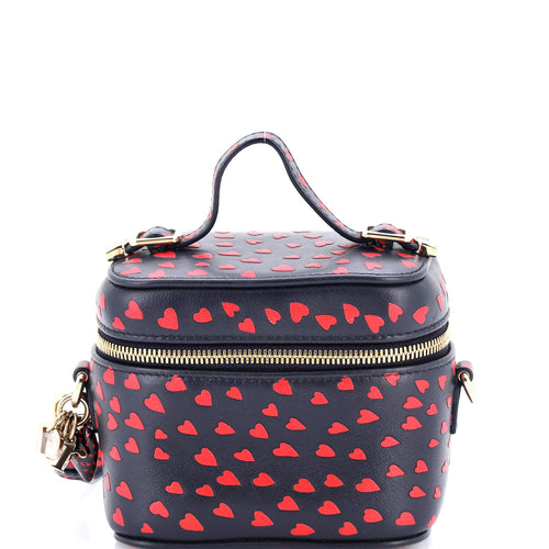 Lady Dior Vanity Case Printed Leather Micro