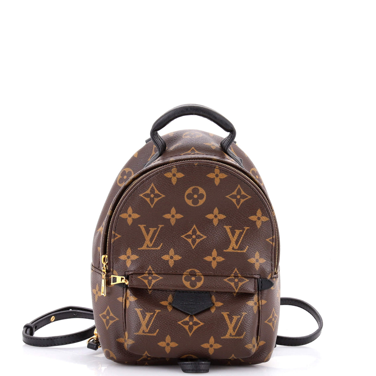 Louis Vuitton Palm Springs Backpack Monogram Canvas Mini
