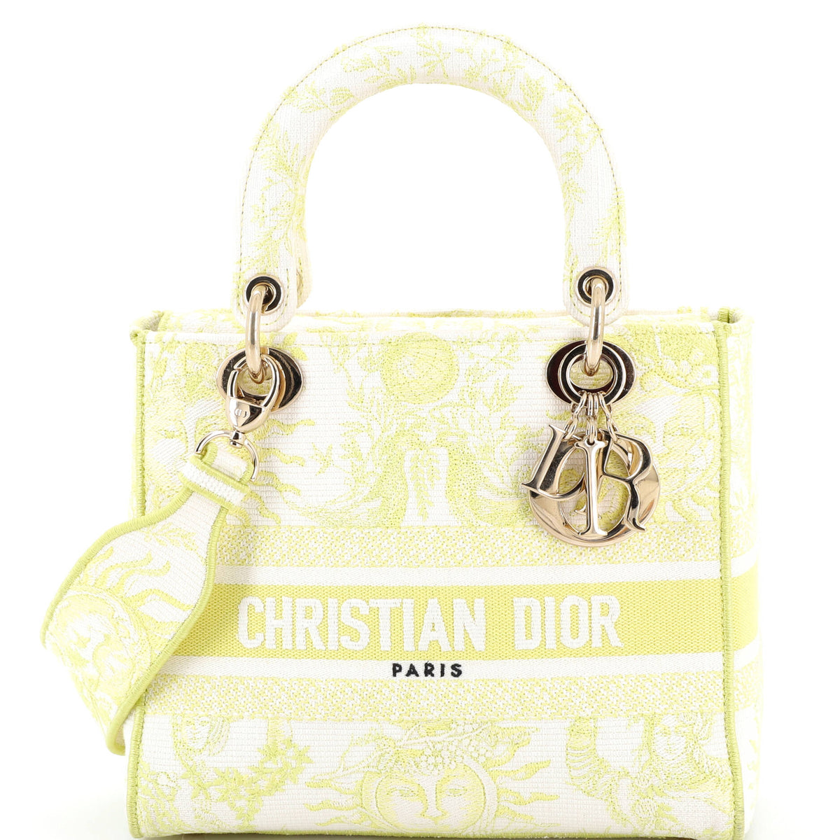 Christian Dior Lady D-Lite Bag Embroidered Canvas Medium