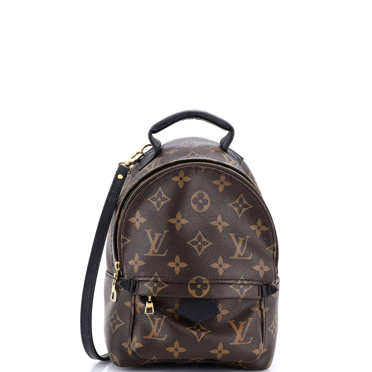 Louis Vuitton Palm Springs Backpack Monogram Canvas Mini