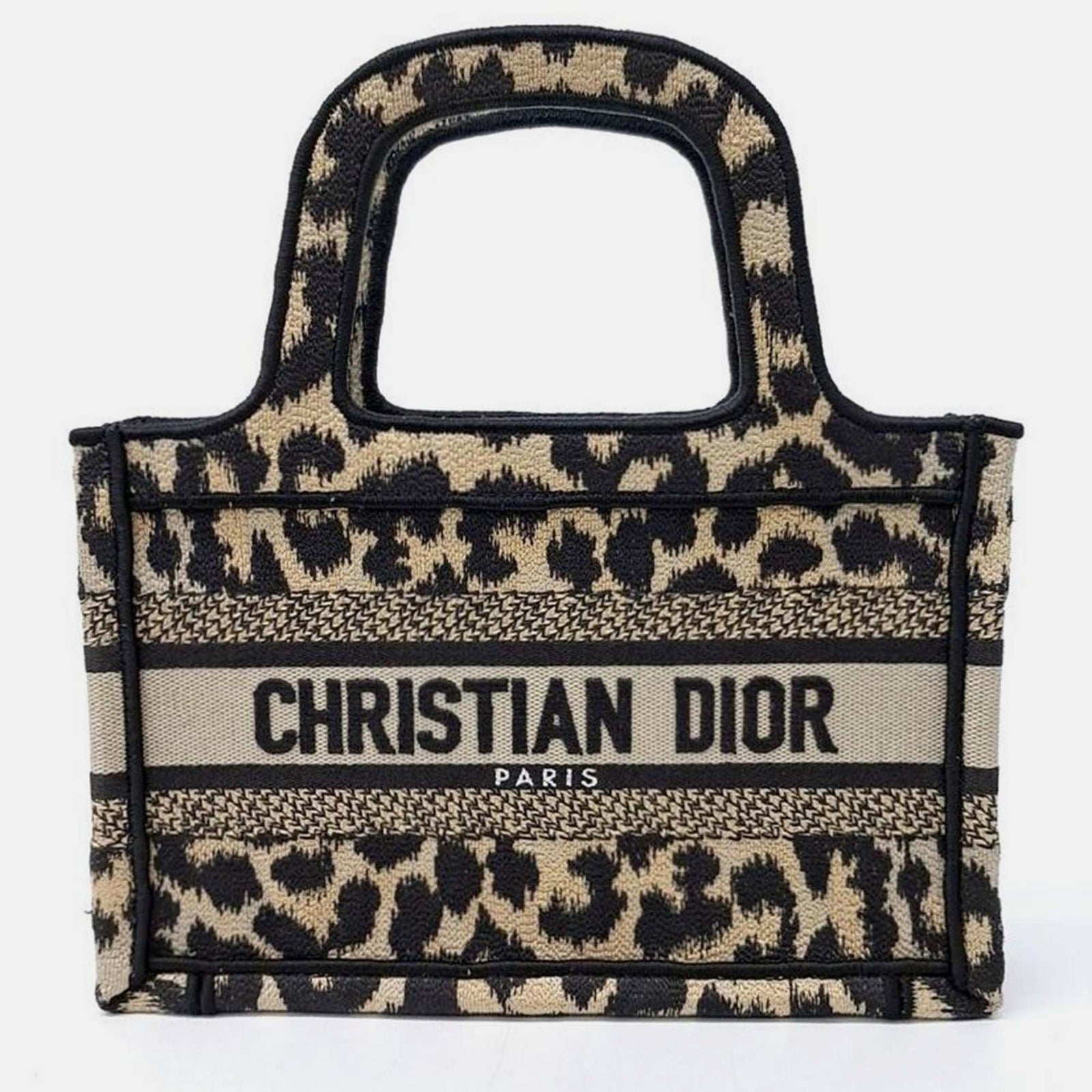 Dior Christliche Mini-Buch-Tragetasche