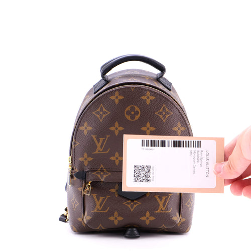 Palm Springs Backpack Monogram Canvas Mini