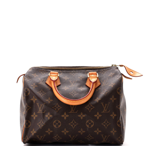 Speedy Handbag Monogram Canvas 25